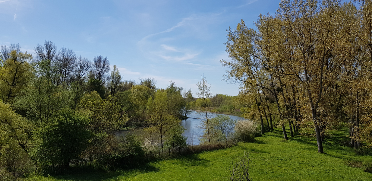 restaurant-du-pont-limons-2018-02